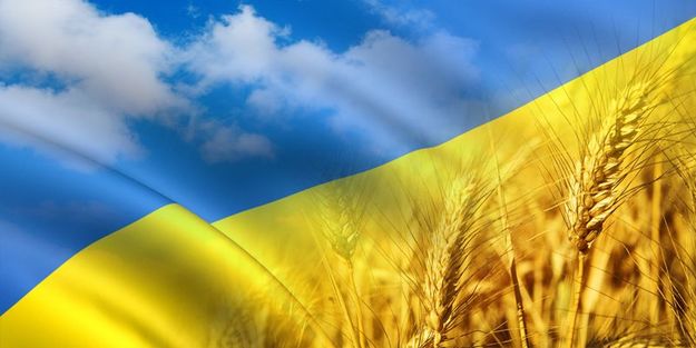 Украина на треть сократила экспорт и импорт товаров