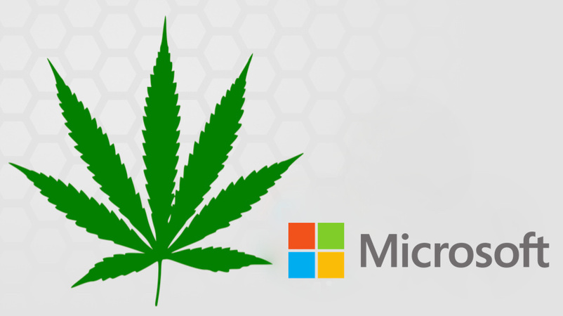 Microsoft займется марихуаной