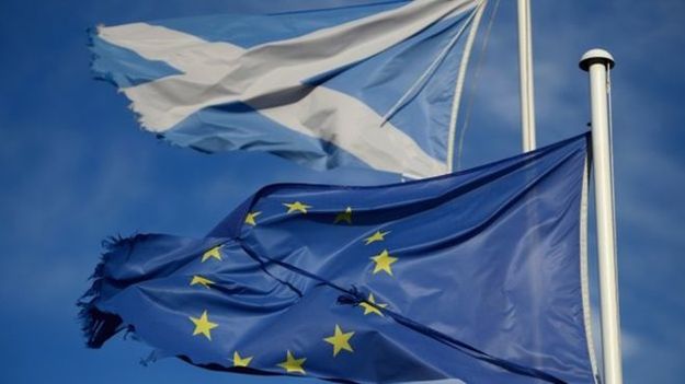 JP Morgan прогнозирует независимость Шотландии